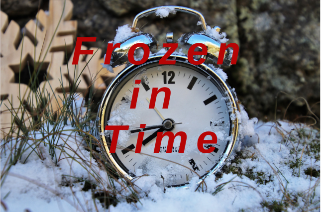 Frozen in Time banner